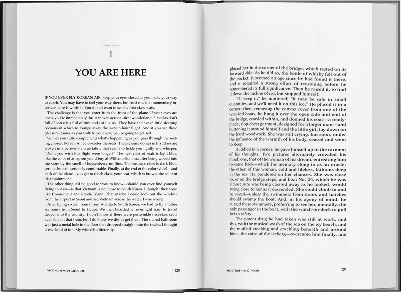 Biography Writing Services