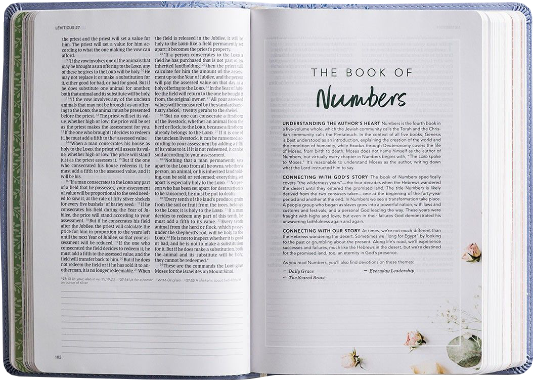 USA Fiction Book Writing